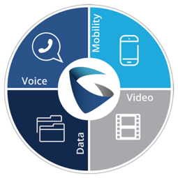 image of infographics of grandstream products features & options for business communication